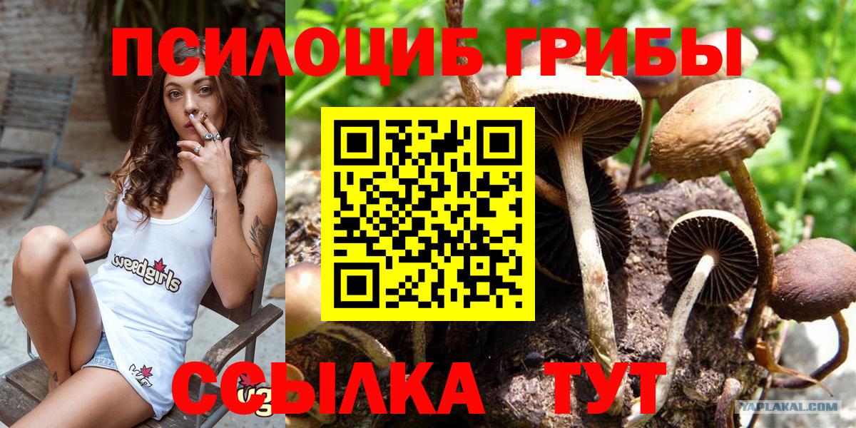 Галлюциногенные грибы Psilocybe Миллерово