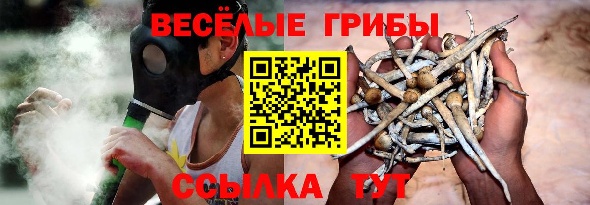 Галлюциногенные грибы мицелий  Псилоцибиновые грибы ЛСД  Вход с VPN  Миллерово 
